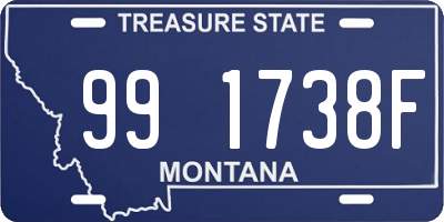 MT license plate 991738F