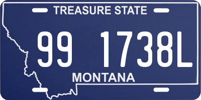 MT license plate 991738L