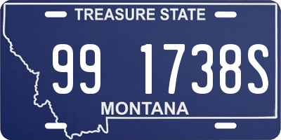 MT license plate 991738S