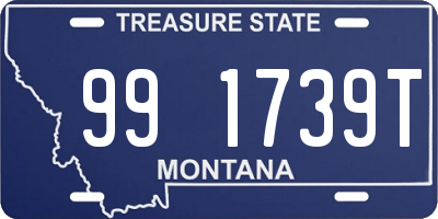 MT license plate 991739T