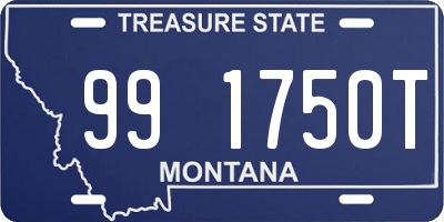 MT license plate 991750T