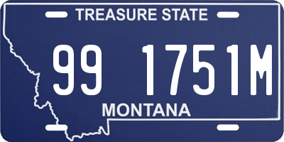 MT license plate 991751M