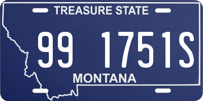 MT license plate 991751S