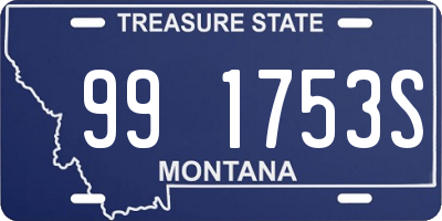 MT license plate 991753S