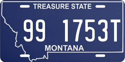 MT license plate 991753T