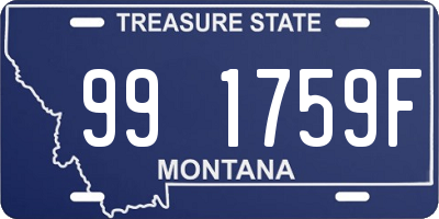 MT license plate 991759F