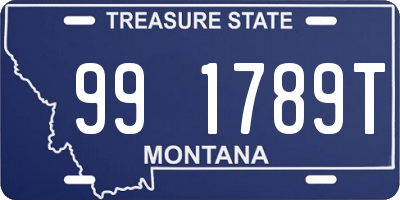 MT license plate 991789T