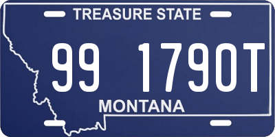 MT license plate 991790T