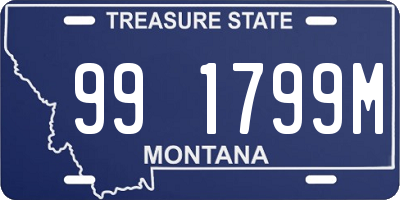 MT license plate 991799M