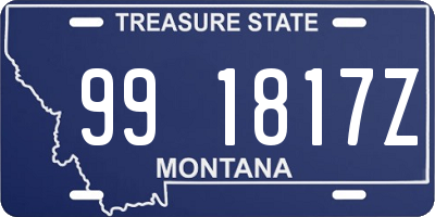 MT license plate 991817Z