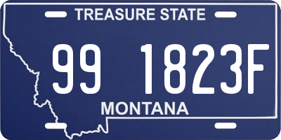 MT license plate 991823F