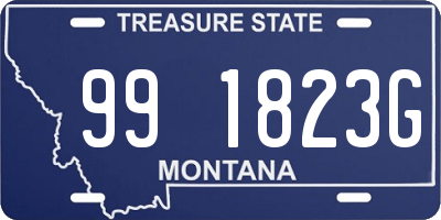 MT license plate 991823G