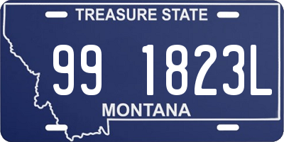 MT license plate 991823L