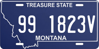 MT license plate 991823V