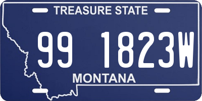 MT license plate 991823W