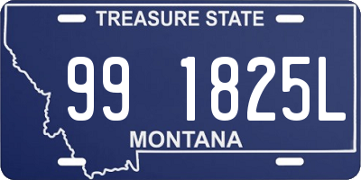 MT license plate 991825L