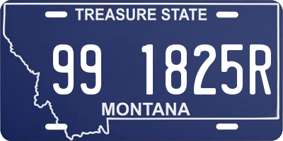 MT license plate 991825R