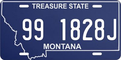 MT license plate 991828J