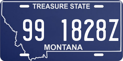 MT license plate 991828Z