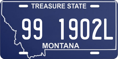 MT license plate 991902L