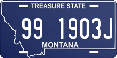 MT license plate 991903J