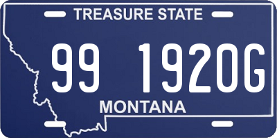 MT license plate 991920G