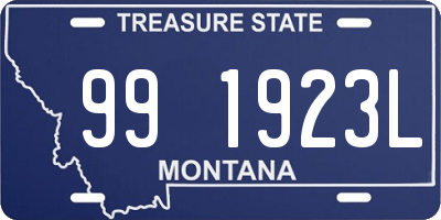 MT license plate 991923L