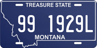 MT license plate 991929L