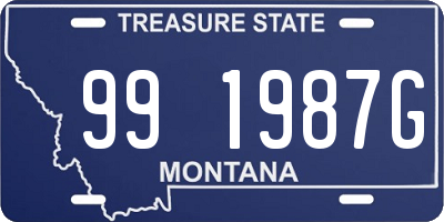 MT license plate 991987G