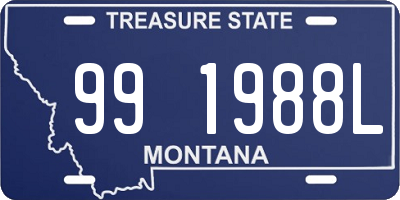 MT license plate 991988L