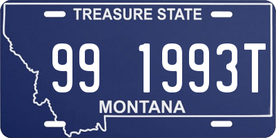 MT license plate 991993T