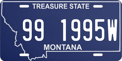 MT license plate 991995W