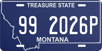 MT license plate 992026P