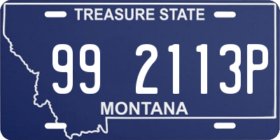 MT license plate 992113P