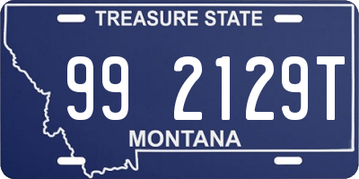 MT license plate 992129T