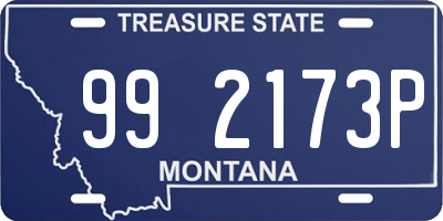 MT license plate 992173P