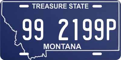 MT license plate 992199P