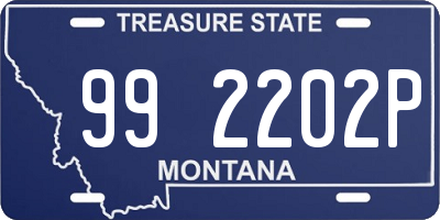 MT license plate 992202P