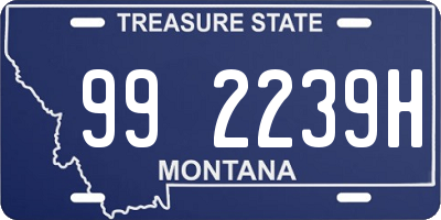 MT license plate 992239H