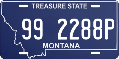 MT license plate 992288P