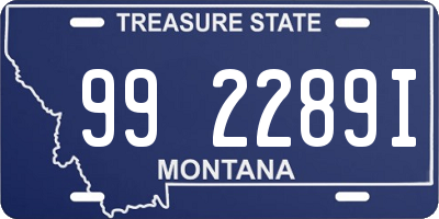 MT license plate 992289I