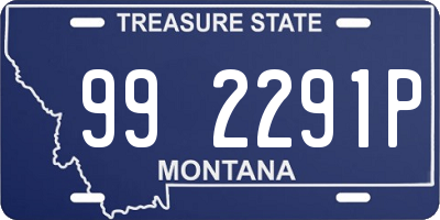 MT license plate 992291P