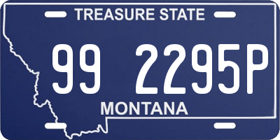 MT license plate 992295P