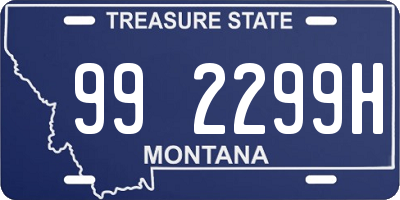 MT license plate 992299H