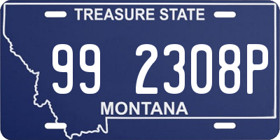 MT license plate 992308P