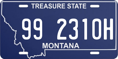 MT license plate 992310H