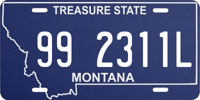 MT license plate 992311L