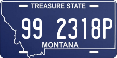 MT license plate 992318P