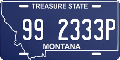 MT license plate 992333P