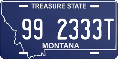 MT license plate 992333T